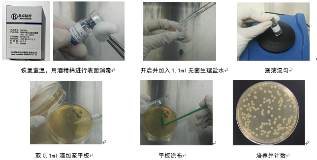 制藥行業(yè)中的隱形殺手-洋蔥伯克霍爾德菌群 制藥行業(yè)中的隱形殺手-洋蔥伯克霍爾德菌群