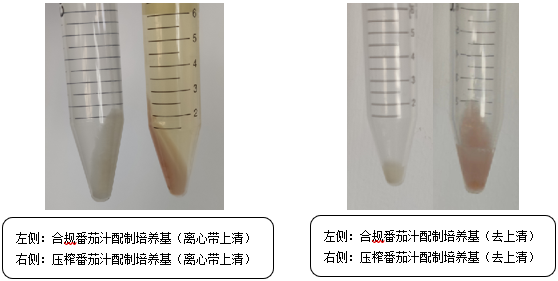 維生素檢測國標(biāo)法本底污染的原因分析 維生素檢測國標(biāo)法本底污染的原因分析