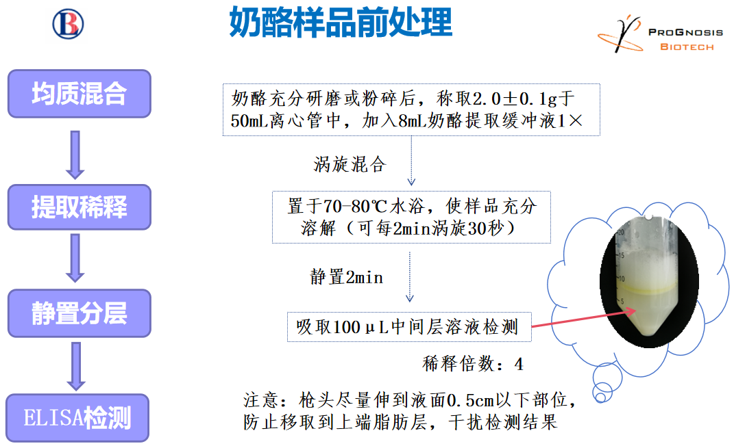 黃曲霉毒素M1的檢測 黃曲霉毒素M1的檢測