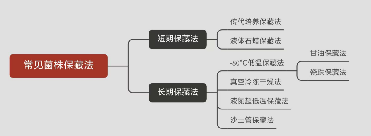 常見菌株保藏法的優(yōu)缺點(diǎn)對(duì)比 常見菌株保藏法的優(yōu)缺點(diǎn)對(duì)比