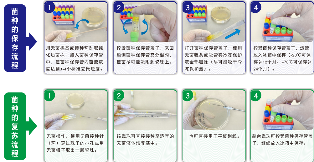 常見菌株保藏法的優(yōu)缺點(diǎn)對(duì)比 常見菌株保藏法的優(yōu)缺點(diǎn)對(duì)比