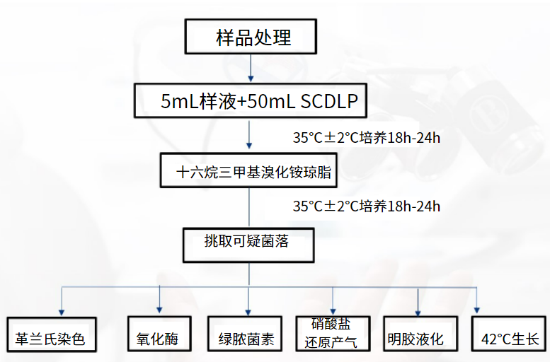 一次性衛(wèi)生用品之綠膿桿菌檢測 一次性衛(wèi)生用品之綠膿桿菌檢測
