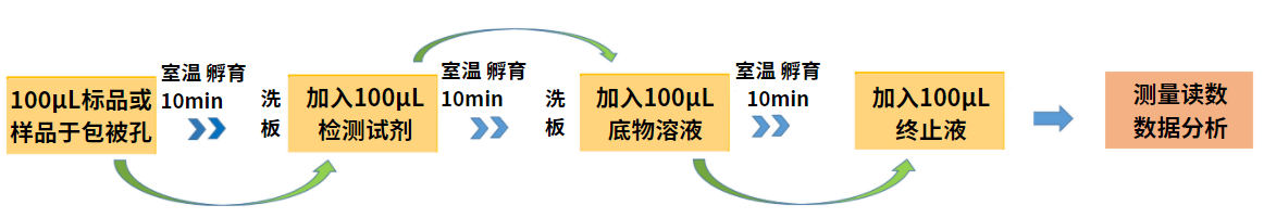 牛奶酪蛋白的檢測 牛奶酪蛋白的檢測