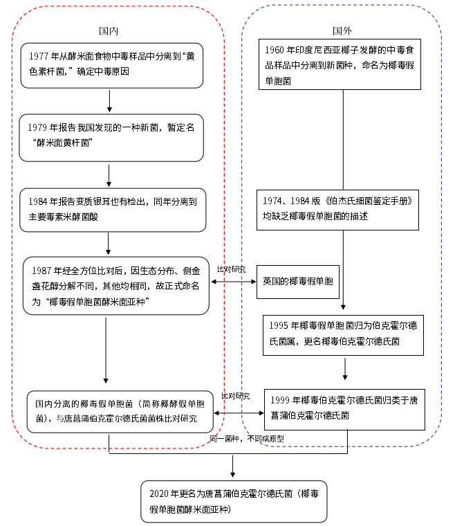 不斷變換“馬甲”的細(xì)菌——唐菖蒲伯克霍爾德氏菌(上) 不斷變換“馬甲”的細(xì)菌——唐菖蒲伯克霍爾德氏菌(上)