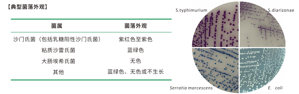 沙門檢測(cè)新助手—沙門氏+顯色培養(yǎng)基 沙門檢測(cè)新助手—沙門氏+顯色培養(yǎng)基
